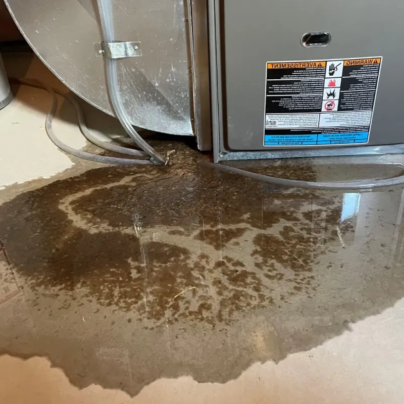 Pipe Burst and Leak Restoration in North Ogden, UT